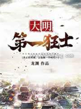 大明第一狂士小说