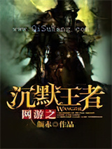 网游之沉默的王者小说