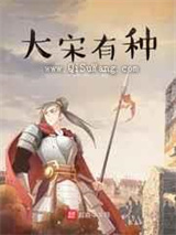 大宋有种小说