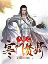 大唐之寒门赘婿小说