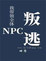 我带领全体NPC叛逃了小说