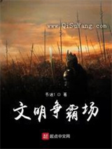 文明争霸场小说