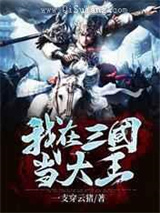 我在三国当山大王小说