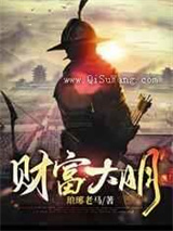 财富大明小说