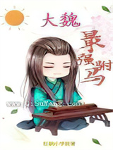 大魏最强驸马小说