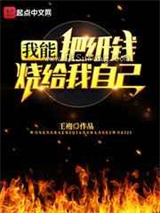 我能把纸钱烧给我自己小说