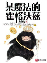 某魔法的霍格沃茨小说