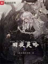 旧夜灵吟小说