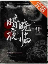 暗夜晓临小说