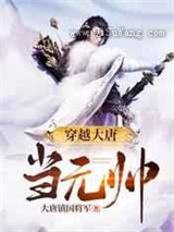 穿越大唐当元帅小说