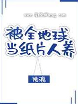 被全地球当纸片人养小说