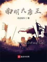 南明大唐王小说