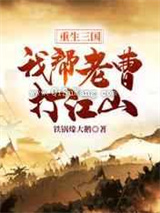 重生三国：我帮老曹打江山小说