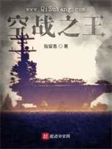 空战之王小说