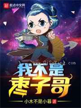 我不是枣子哥小说