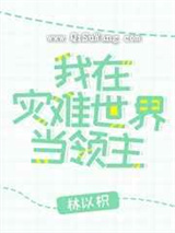 我在灾难世界当领主小说