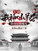 大唐：我神仙弟子的身份被曝光小说