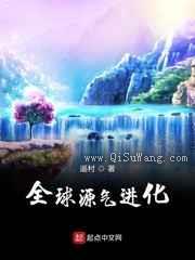全球源气进化小说