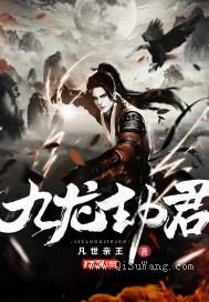九龙劫君小说