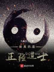 我真的是正经道士小说