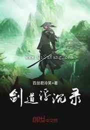 剑道浮沉录小说