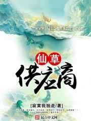 仙草供应商小说