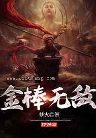 金棒无敌小说
