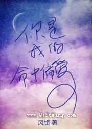 你是我的命中偏爱小说