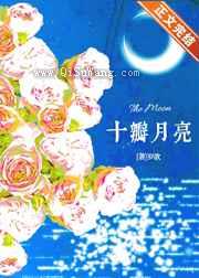 十瓣月亮小说