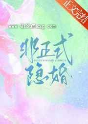 非正式隐婚小说