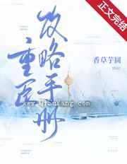 重臣攻略手册小说