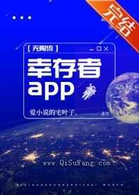 地球玩家小说