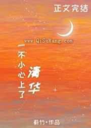 一不小心上了清华小说