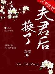 换了夫君后小说