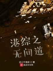 港综之无间道小说