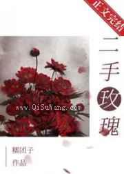 二手玫瑰小说