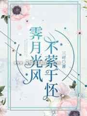 霁月光风，不萦与怀小说