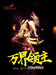 文明之万界领主小说