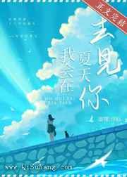 我会在夏日去见你小说