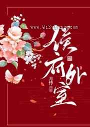 侯府外室小说