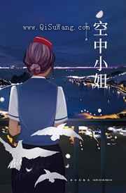 空中小姐小说