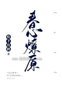春心燎原小说