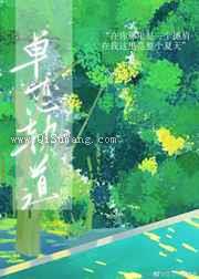 单恋轨道小说