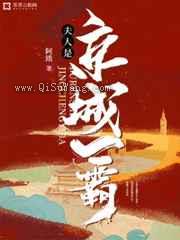 夫人是京城一霸小说