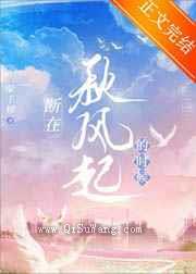 时总的追妻火葬场小说