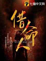 借命人小说