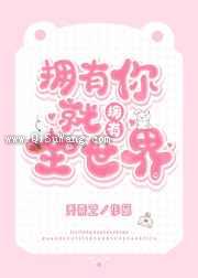 拥有你就拥有全世界小说