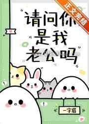 请问你是我老公吗小说