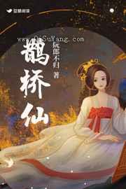 鹊桥仙小说