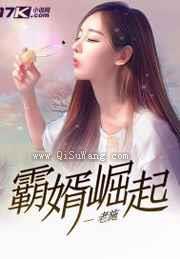 霸婿崛起小说